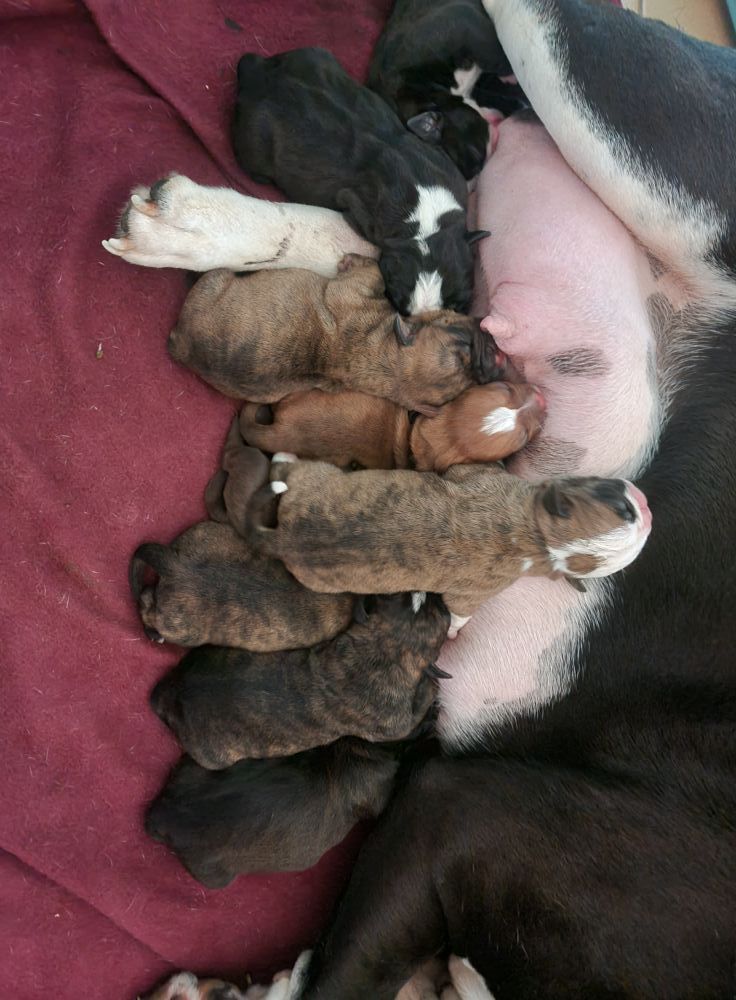 Bébés arrivés 